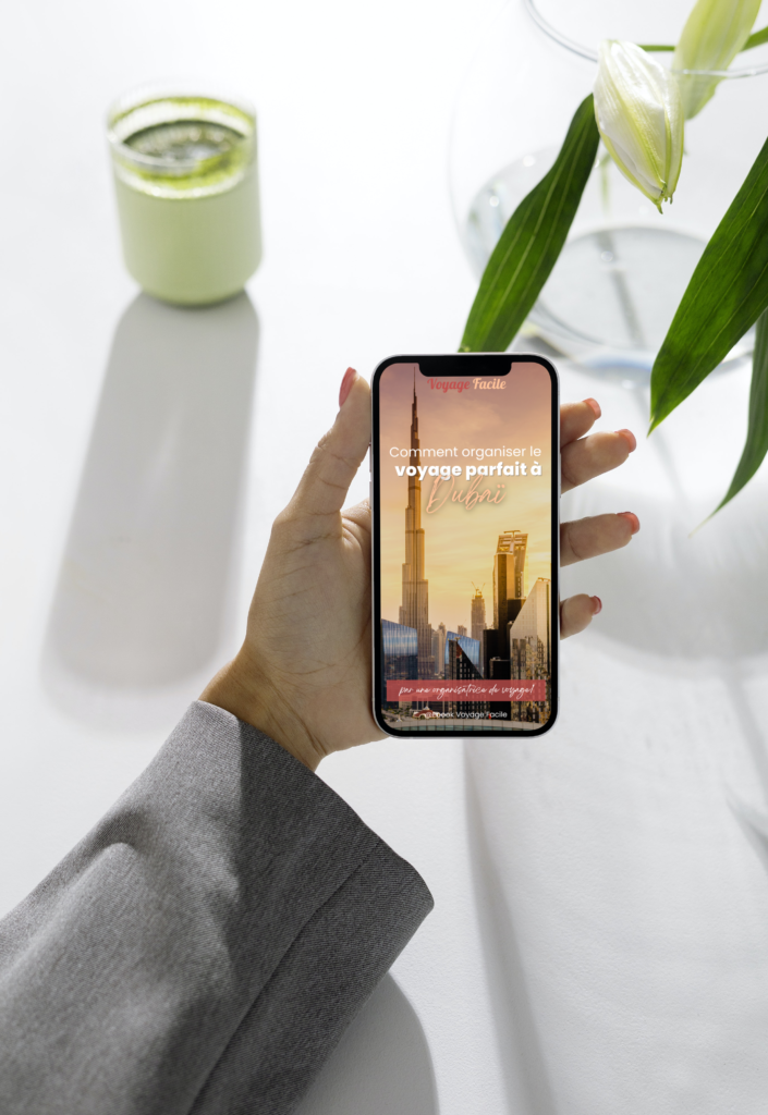 comment organiser le voyage parfait à dubai ebook gratuit